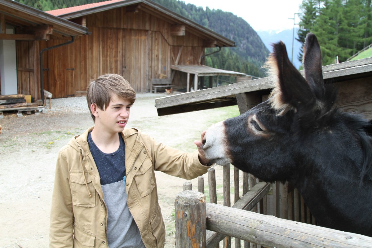 Getting to know the farm animals in South Tyrol, Italy.
